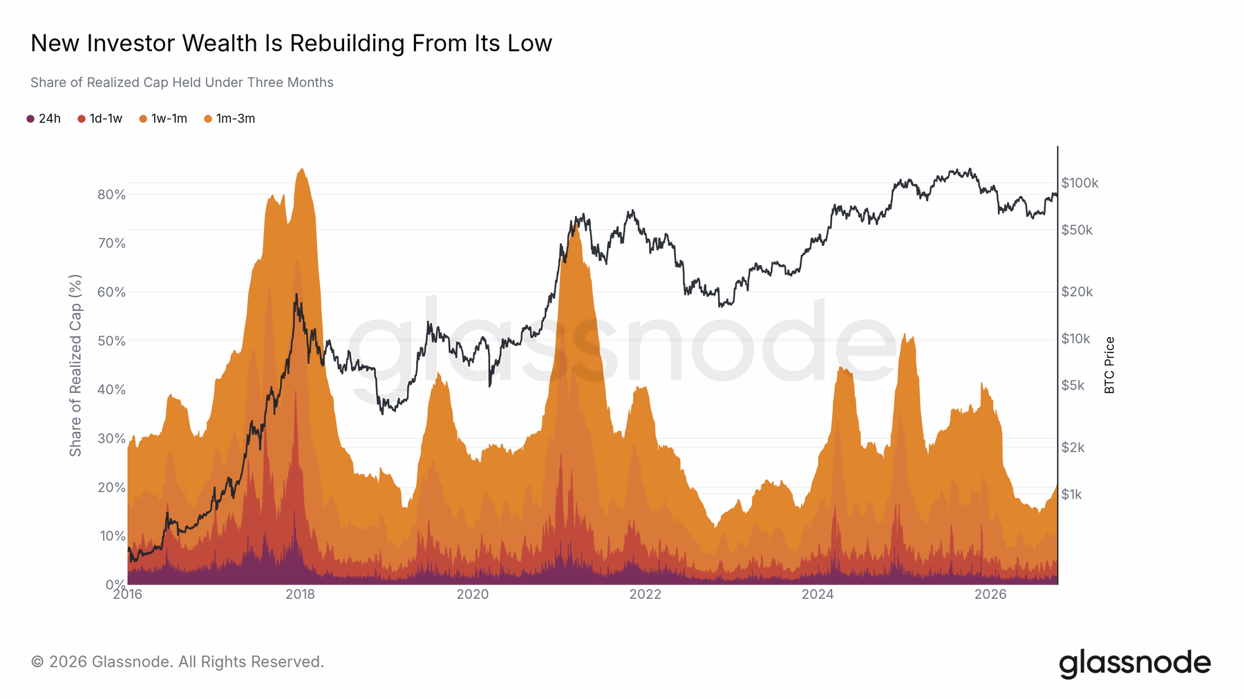 Newer coins gained a larger share of wealth — original report chart